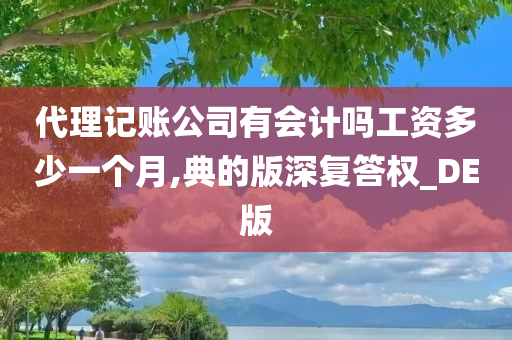 代理记账公司有会计吗工资多少一个月,典的版深复答权_DE版