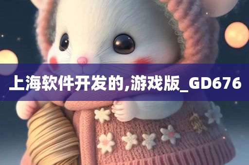 上海软件开发的,游戏版_GD676