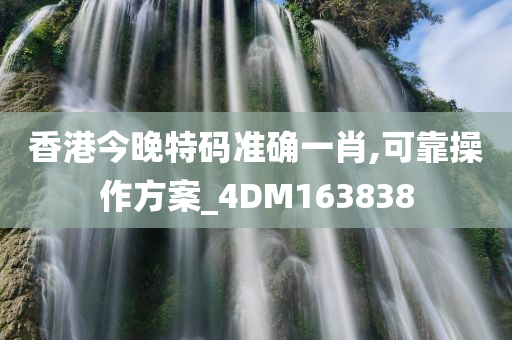 香港今晚特码准确一肖,可靠操作方案_4DM163838