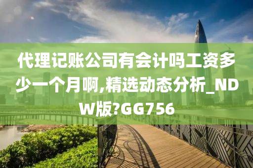 代理记账公司有会计吗工资多少一个月啊,精选动态分析_NDW版?GG756