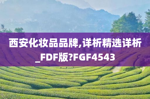 西安化妆品品牌,详析精选详析_FDF版?FGF4543