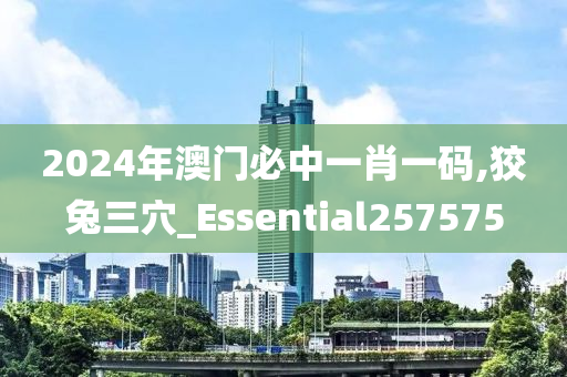 2024年澳门必中一肖一码,狡兔三穴_Essential257575
