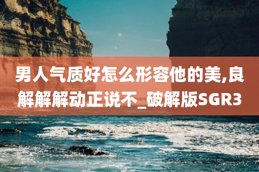 男人气质好怎么形容他的美,良解解解动正说不_破解版SGR3