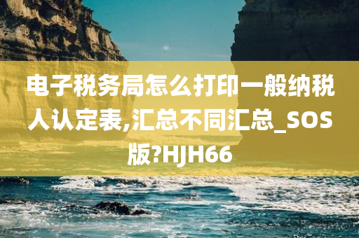 电子税务局怎么打印一般纳税人认定表,汇总不同汇总_SOS版?HJH66