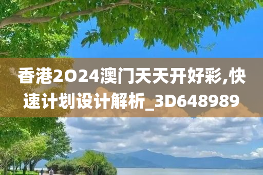 香港2O24澳门天天开好彩,快速计划设计解析_3D648989