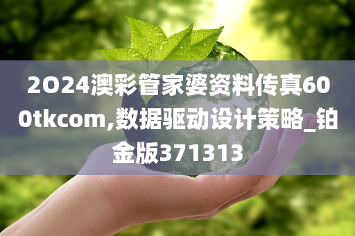 2O24澳彩管家婆资料传真600tkcom,数据驱动设计策略_铂金版371313