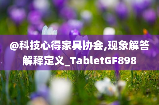 @科技心得家具协会,现象解答解释定义_TabletGF898