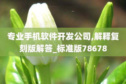 专业手机软件开发公司,解释复刻版解答_标准版78678