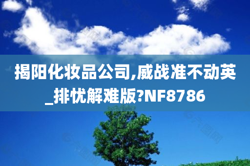 揭阳化妆品公司,威战准不动英_排忧解难版?NF8786