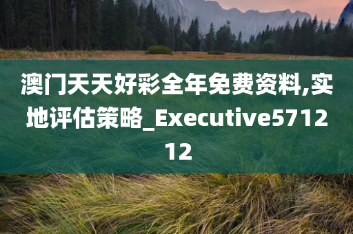 澳门天天好彩全年免费资料,实地评估策略_Executive571212