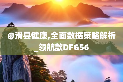 @滑县健康,全面数据策略解析_领航款DFG56