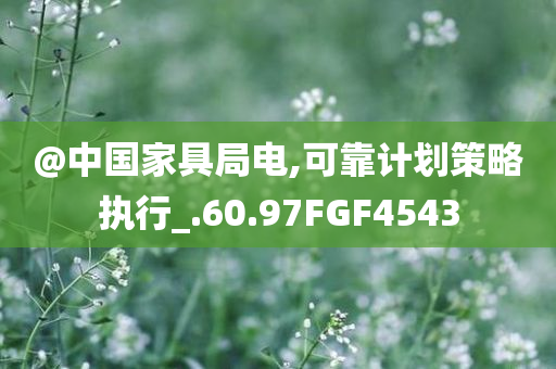 @中国家具局电,可靠计划策略执行_.60.97FGF4543