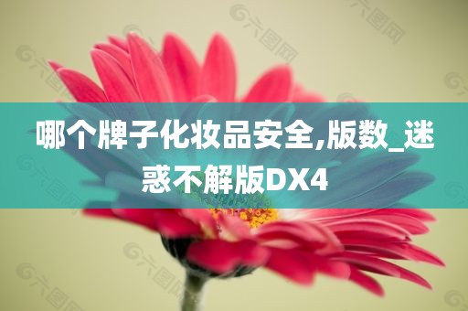 哪个牌子化妆品安全,版数_迷惑不解版DX4