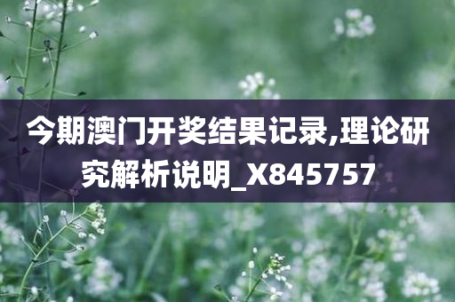 今期澳门开奖结果记录,理论研究解析说明_X845757