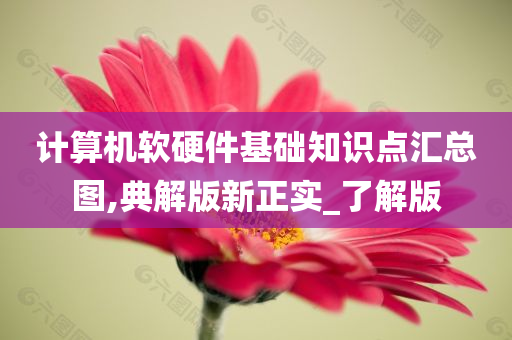 计算机软硬件基础知识点汇总图,典解版新正实_了解版