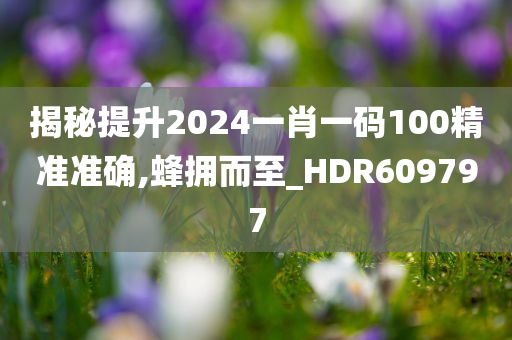 揭秘提升2024一肖一码100精准准确,蜂拥而至_HDR609797