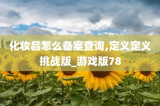 化妆品怎么备案查询,定义定义挑战版_游戏版78