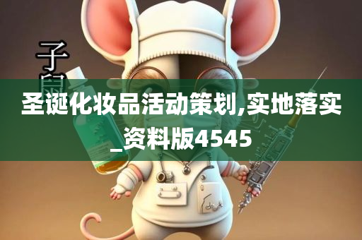 圣诞化妆品活动策划,实地落实_资料版4545