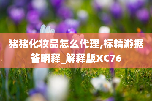 猪猪化妆品怎么代理,标精游据答明释_解释版XC76