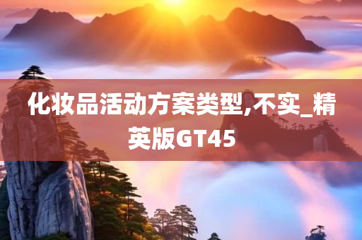 化妆品活动方案类型,不实_精英版GT45
