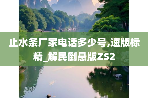 止水条厂家电话多少号,速版标精_解民倒悬版ZS2