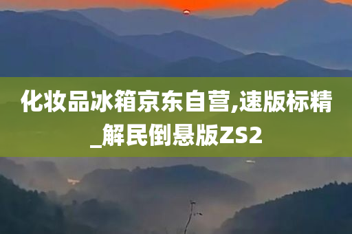 化妆品冰箱京东自营,速版标精_解民倒悬版ZS2