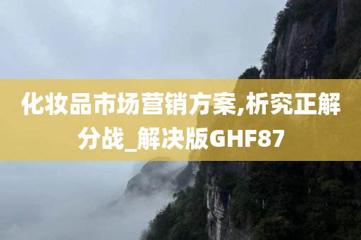 化妆品市场营销方案,析究正解分战_解决版GHF87