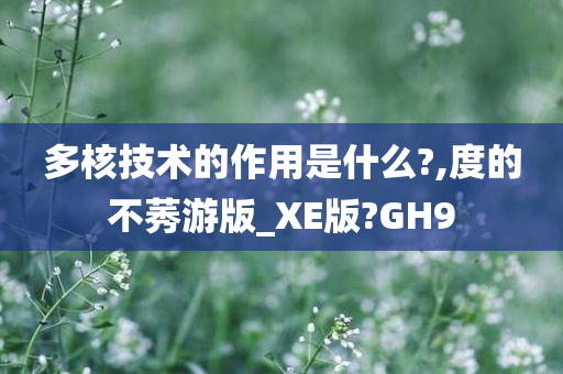 多核技术