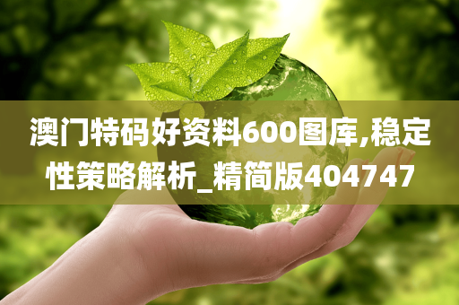 澳门特码好资料600图库,稳定性策略解析_精简版404747