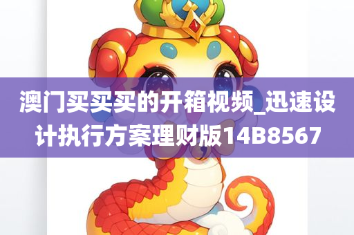 澳门买买买的开箱视频_迅速设计执行方案理财版14B8567