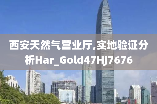 西安天然气营业厅,实地验证分析Har_Gold47HJ7676