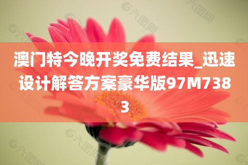 澳门特今晚开奖免费结果_迅速设计解答方案豪华版97M7383