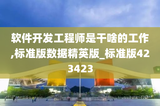 软件开发工程师是干啥的工作,标准版数据精英版_标准版423423