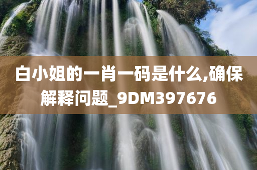 白小姐的一肖一码是什么,确保解释问题_9DM397676