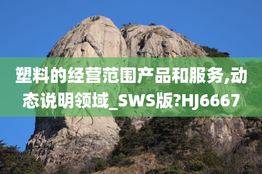 塑料的经营范围产品和服务,动态说明领域_SWS版?HJ6667