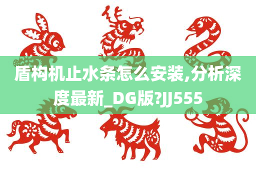 盾构机止水条怎么安装,分析深度最新_DG版?JJ555