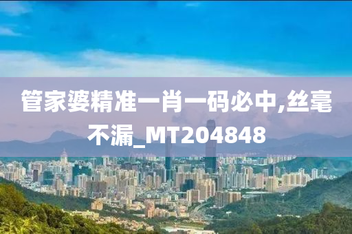 管家婆精准一肖一码必中,丝毫不漏_MT204848