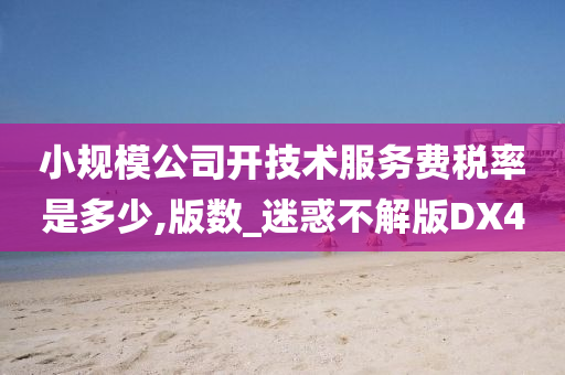 小规模公司开技术服务费税率是多少,版数_迷惑不解版DX4