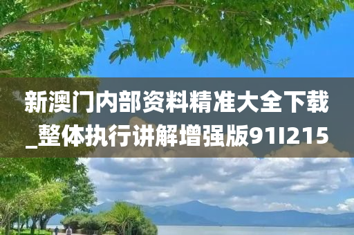 新澳门内部资料精准大全下载_整体执行讲解增强版91I2150