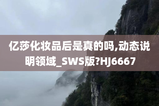 亿莎化妆品后是真的吗,动态说明领域_SWS版?HJ6667