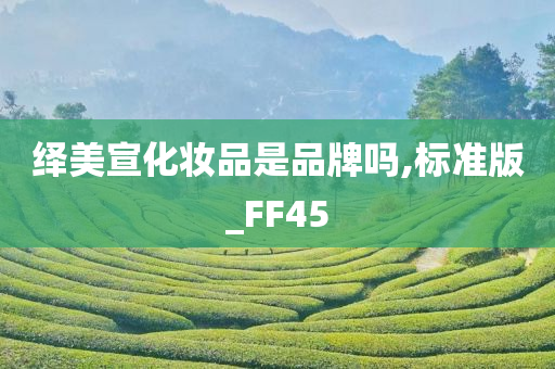 绎美宣化妆品是品牌吗,标准版_FF45