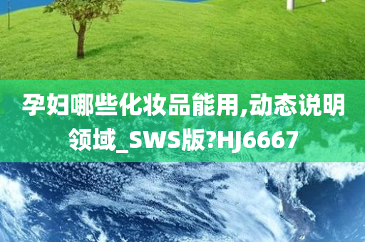 孕妇哪些化妆品能用,动态说明领域_SWS版?HJ6667