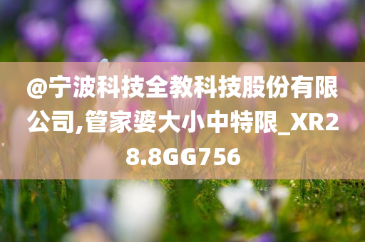 @宁波科技全教科技股份有限公司,管家婆大小中特限_XR28.8GG756