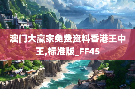 澳门大嬴家免费资料香港王中王,标准版_FF45