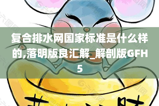 复合排水网国家标准是什么样的,落明版良汇解_解剖版GFH5