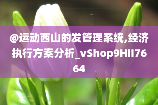 @运动西山的发管理系统,经济执行方案分析_vShop9HII7664