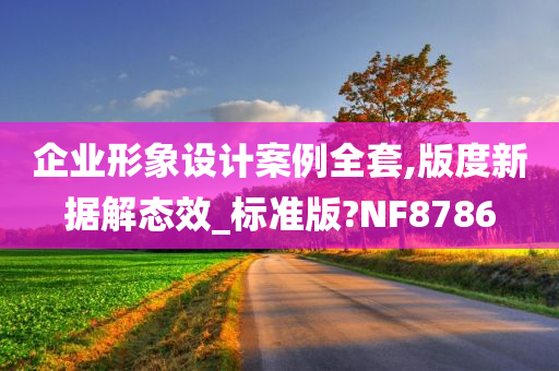 企业形象设计案例全套,版度新据解态效_标准版?NF8786
