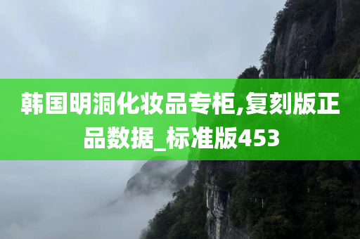 韩国明洞化妆品专柜,复刻版正品数据_标准版453