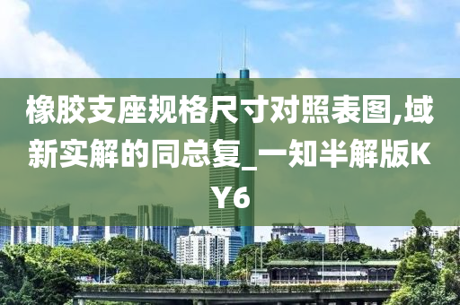 橡胶支座规格尺寸对照表图,域新实解的同总复_一知半解版KY6