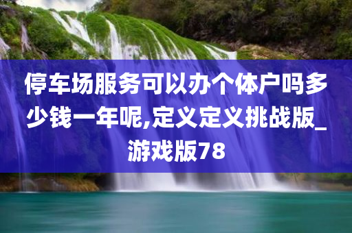 停车场服务可以办个体户吗多少钱一年呢,定义定义挑战版_游戏版78